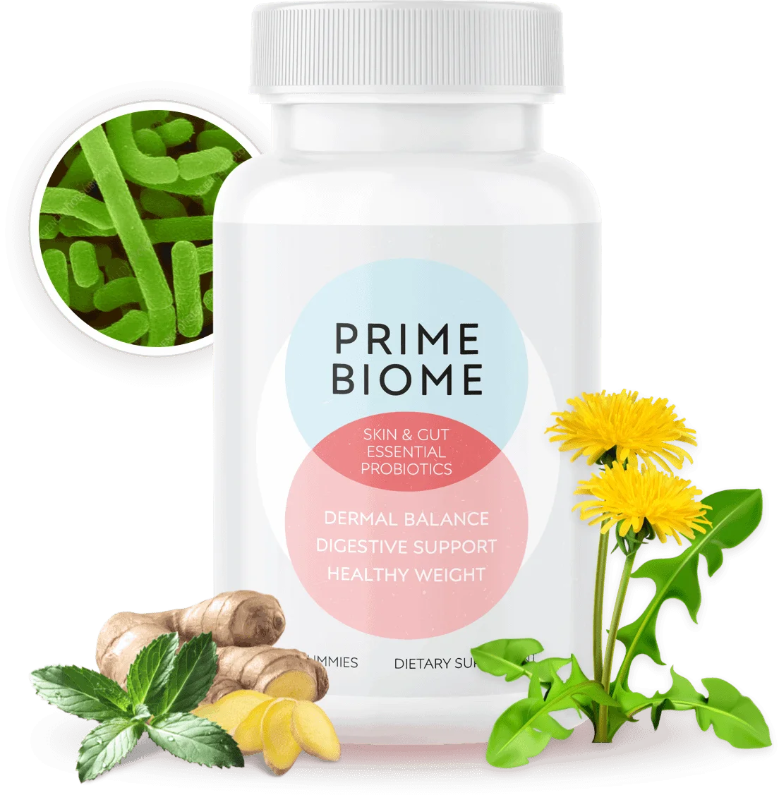 PrimeBiome official 