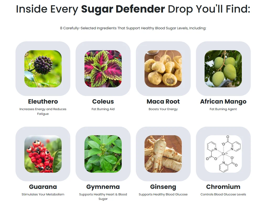 prime biome -supplement